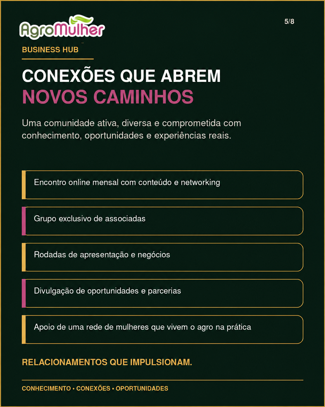 Comunidade e conexões