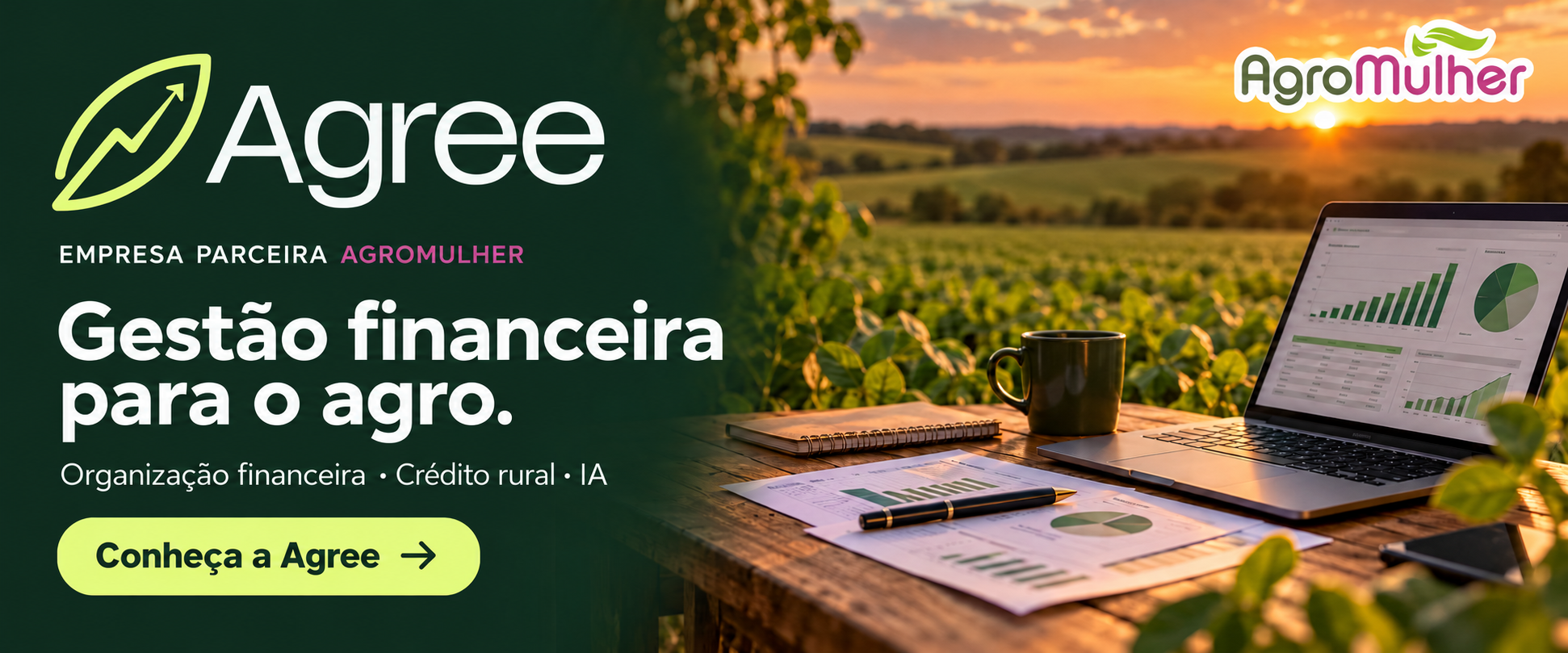 Agree: organização financeira, crédito rural e IA. Empresa parceira AgroMulher